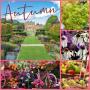 BCB Harrogate Flower Show - Newby Hall BCB Harrogate Flower Show - Newby Hall