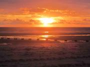 Jersey Tour Aug 2014-13 beach bbq sunset